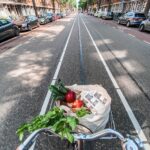 바쁜 일상 속 웰니스 문화, 작은 변화로 건강을 챙기다 red roses in brown cardboard box on bicycle